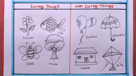 living things drawing|26 Draw Living Things ideas .